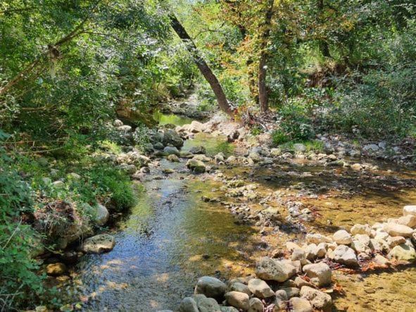 La Ferme De Manon Διαμέρισμα Montferrat  Εξωτερικό φωτογραφία